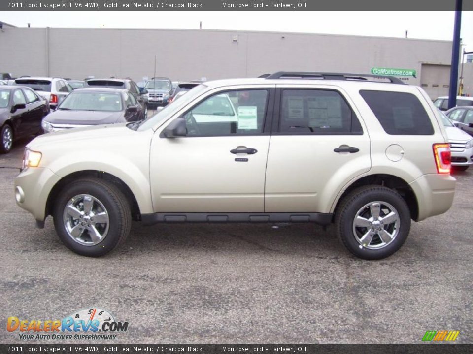 Gold Leaf Metallic 2011 Ford Escape XLT V6 4WD Photo #2