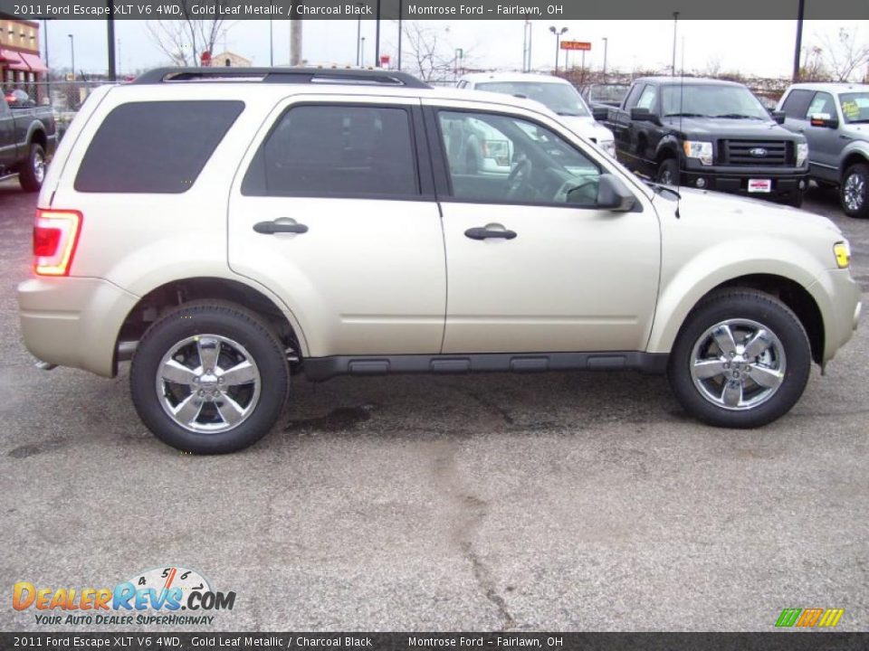 2011 Ford Escape XLT V6 4WD Gold Leaf Metallic / Charcoal Black Photo #6