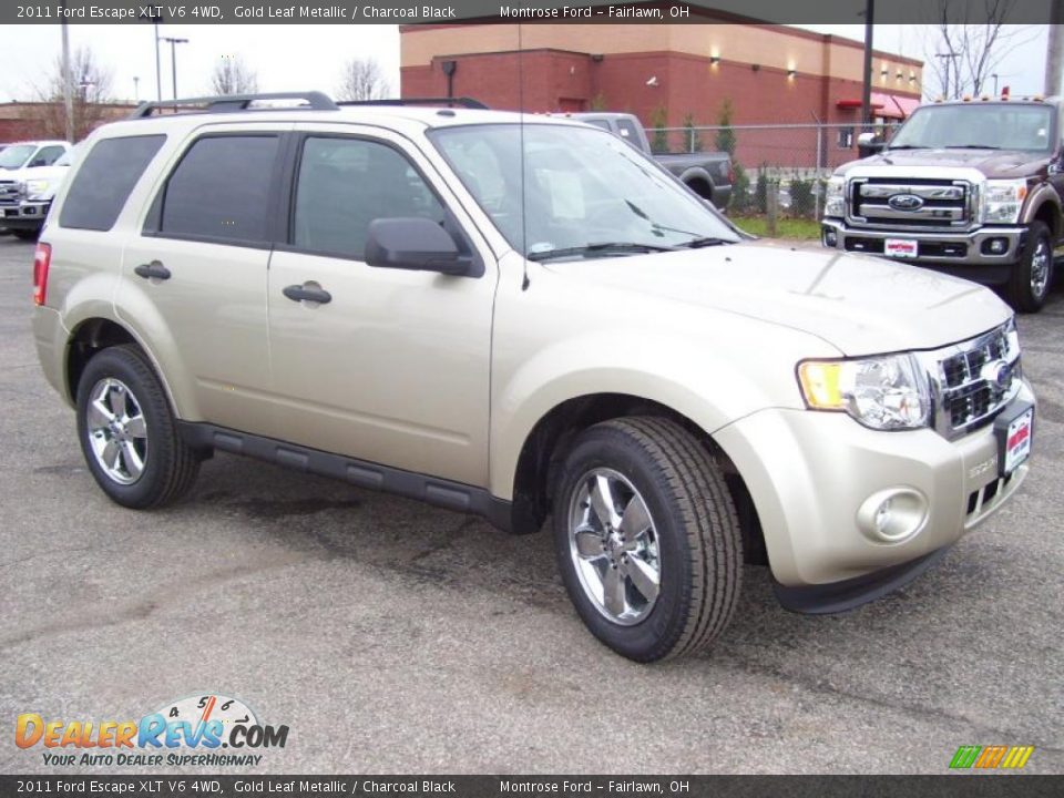 Front 3/4 View of 2011 Ford Escape XLT V6 4WD Photo #7