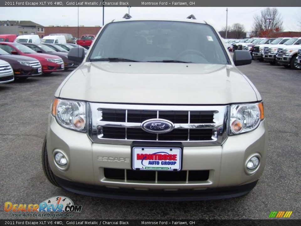 2011 Ford Escape XLT V6 4WD Gold Leaf Metallic / Charcoal Black Photo #8