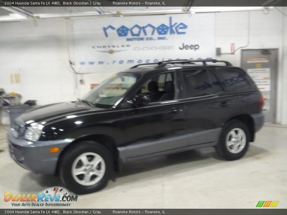 2004 Hyundai Santa Fe LX 4WD Black Obsidian / Gray Photo #2