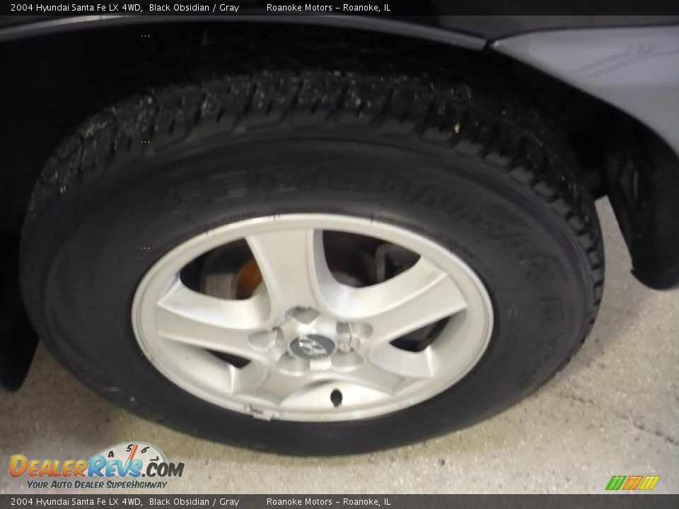 2004 Hyundai Santa Fe LX 4WD Black Obsidian / Gray Photo #5