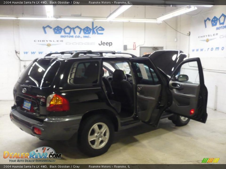 2004 Hyundai Santa Fe LX 4WD Black Obsidian / Gray Photo #6
