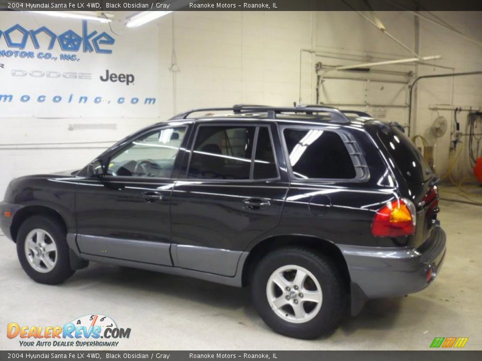 2004 Hyundai Santa Fe LX 4WD Black Obsidian / Gray Photo #10