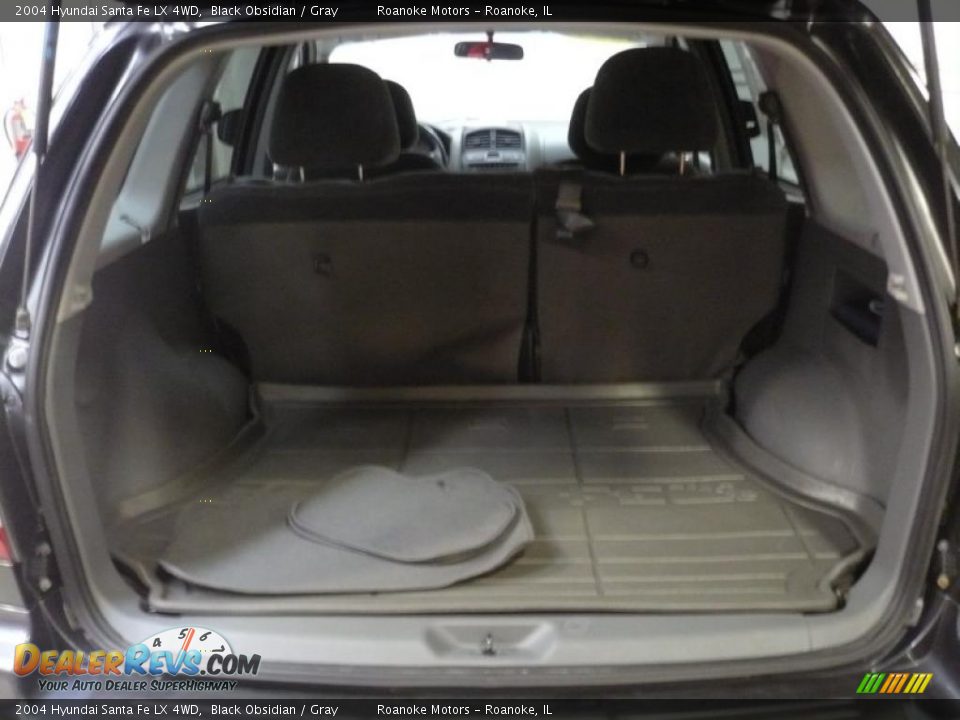 2004 Hyundai Santa Fe LX 4WD Black Obsidian / Gray Photo #12