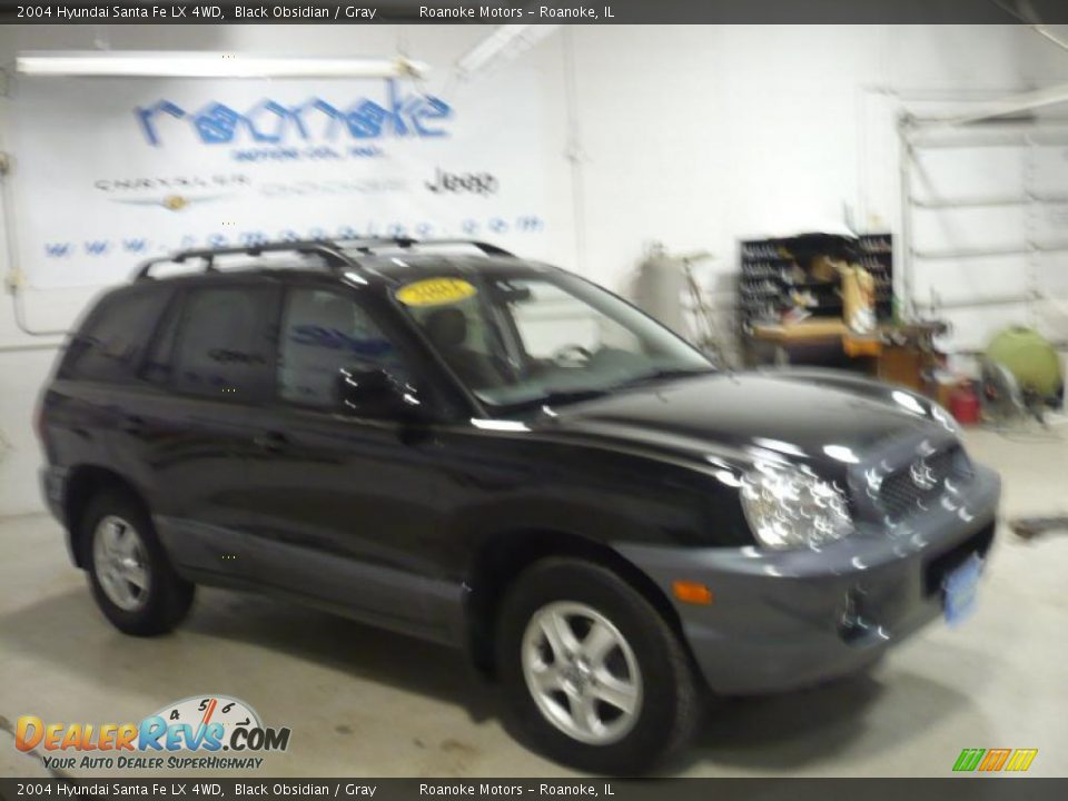 2004 Hyundai Santa Fe LX 4WD Black Obsidian / Gray Photo #19