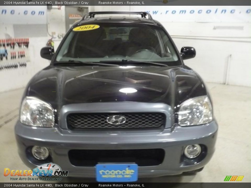 2004 Hyundai Santa Fe LX 4WD Black Obsidian / Gray Photo #20