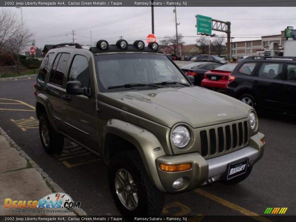 2002 Jeep Liberty Renegade 4x4 Cactus Green Metallic / Taupe Photo #6