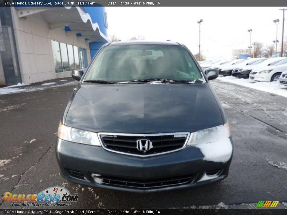 2004 Honda Odyssey EX-L Sage Brush Pearl / Fern Photo #6