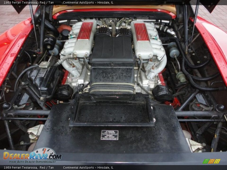 1989 Ferrari Testarossa  4.9 Liter DOHC 48V Flat 12 Cylinder Engine Photo #14