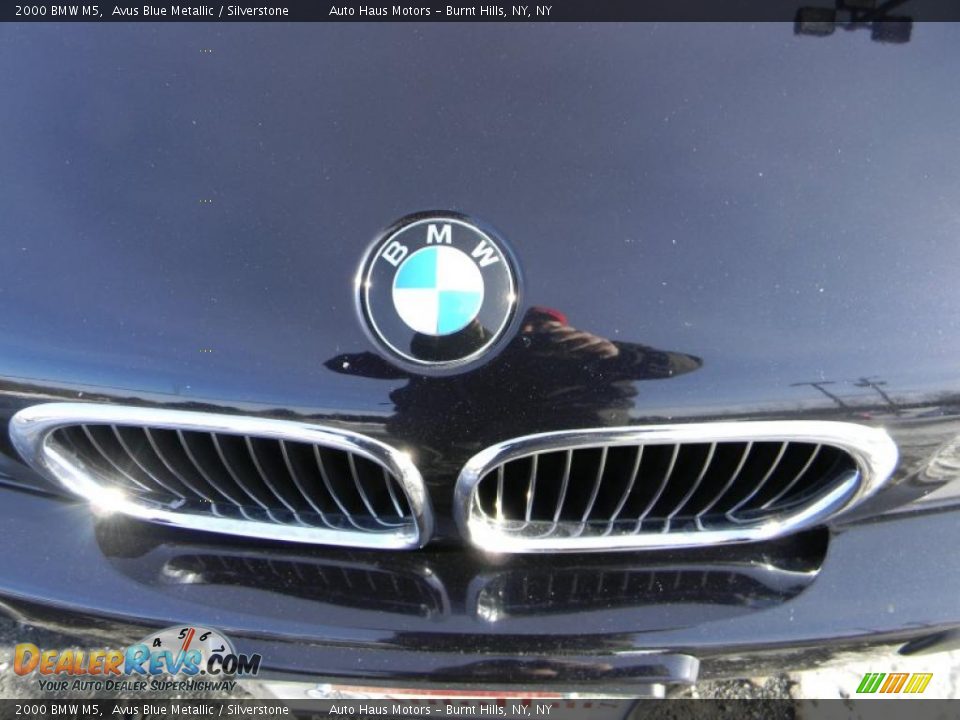 2000 BMW M5 Avus Blue Metallic / Silverstone Photo #3