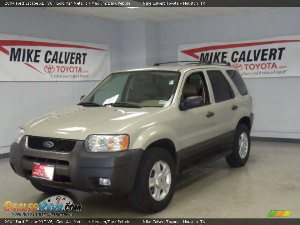 2004 Ford Escape XLT V6 Gold Ash Metallic / Medium/Dark Pebble Photo #1