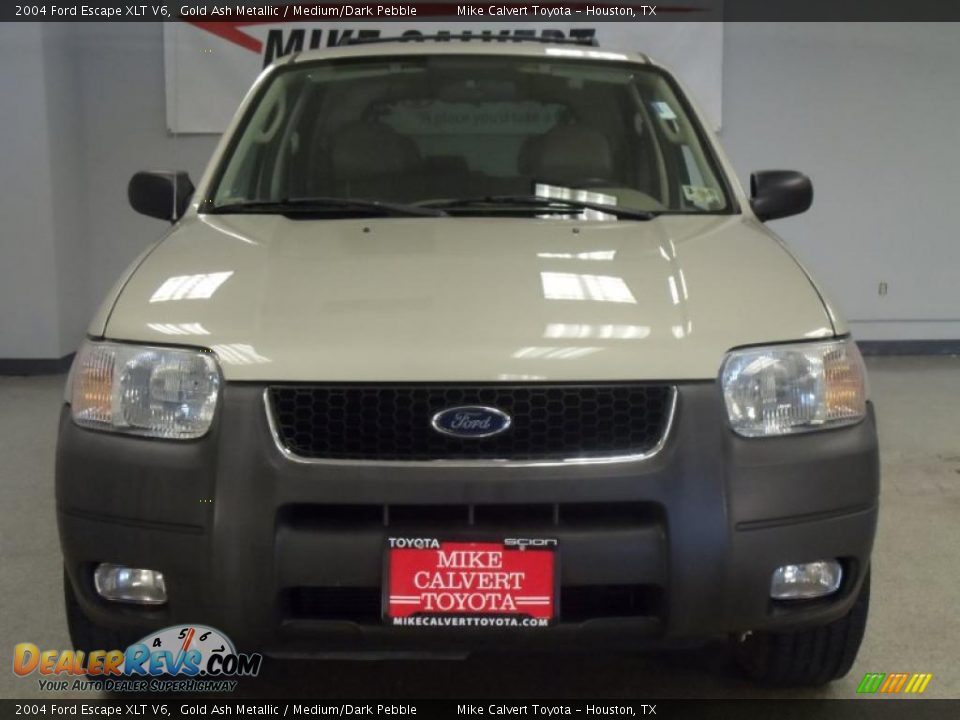 2004 Ford Escape XLT V6 Gold Ash Metallic / Medium/Dark Pebble Photo #2