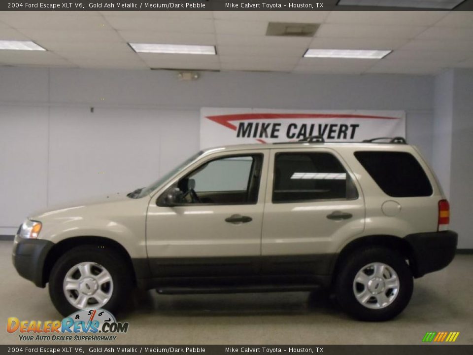 2004 Ford Escape XLT V6 Gold Ash Metallic / Medium/Dark Pebble Photo #3