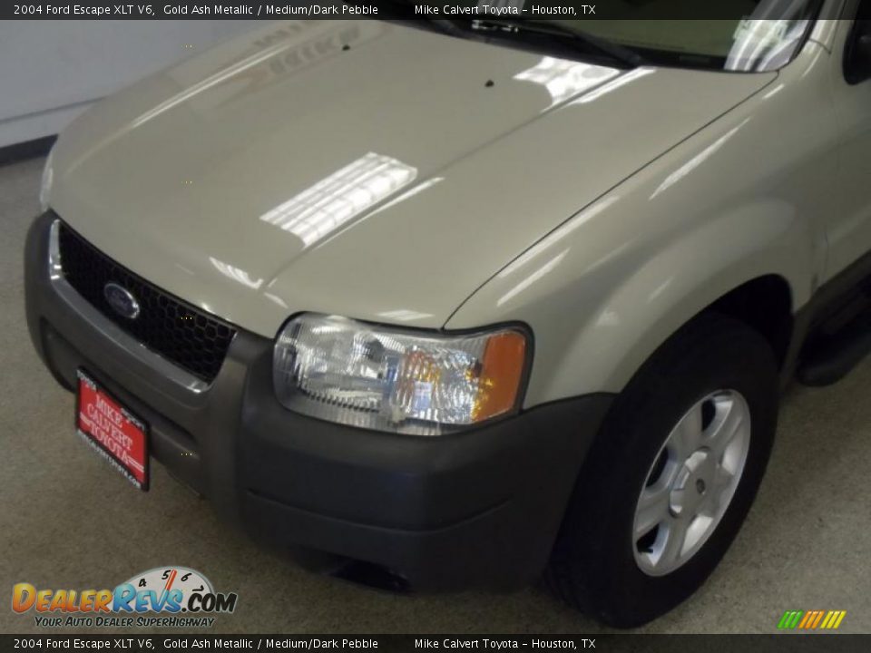 2004 Ford Escape XLT V6 Gold Ash Metallic / Medium/Dark Pebble Photo #5