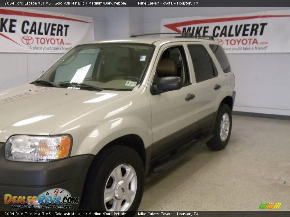 2004 Ford Escape XLT V6 Gold Ash Metallic / Medium/Dark Pebble Photo #6