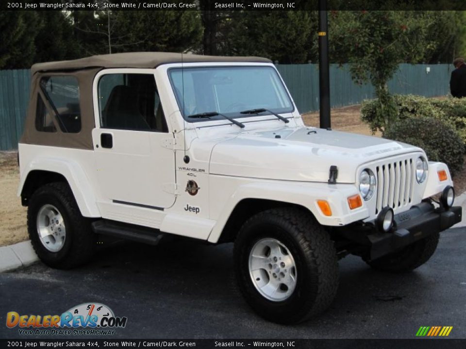 Stone White 2001 Jeep Wrangler Sahara 4x4 Photo #18