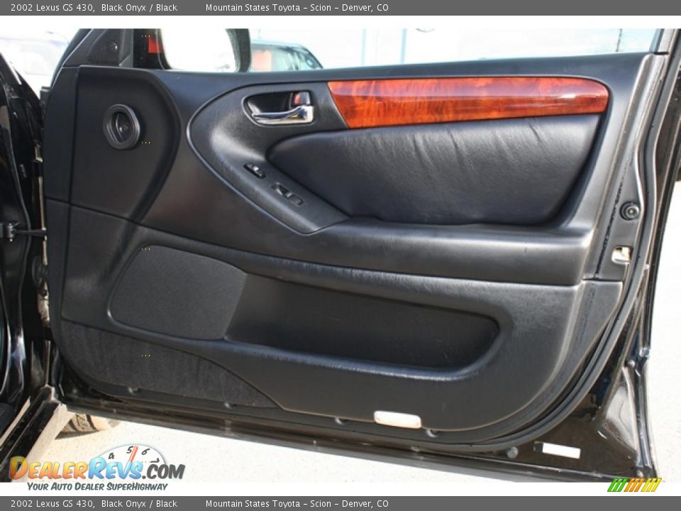 Door Panel of 2002 Lexus GS 430 Photo #15