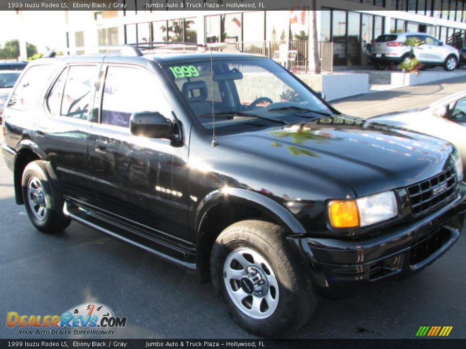 1999 Isuzu Rodeo LS Ebony Black / Gray Photo #1
