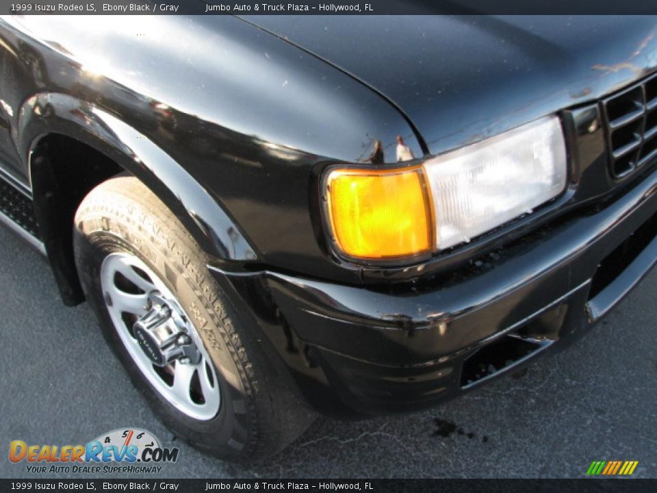 1999 Isuzu Rodeo LS Ebony Black / Gray Photo #2