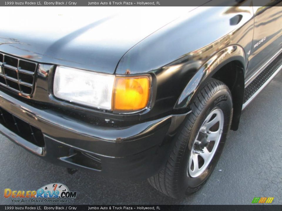 1999 Isuzu Rodeo LS Ebony Black / Gray Photo #4