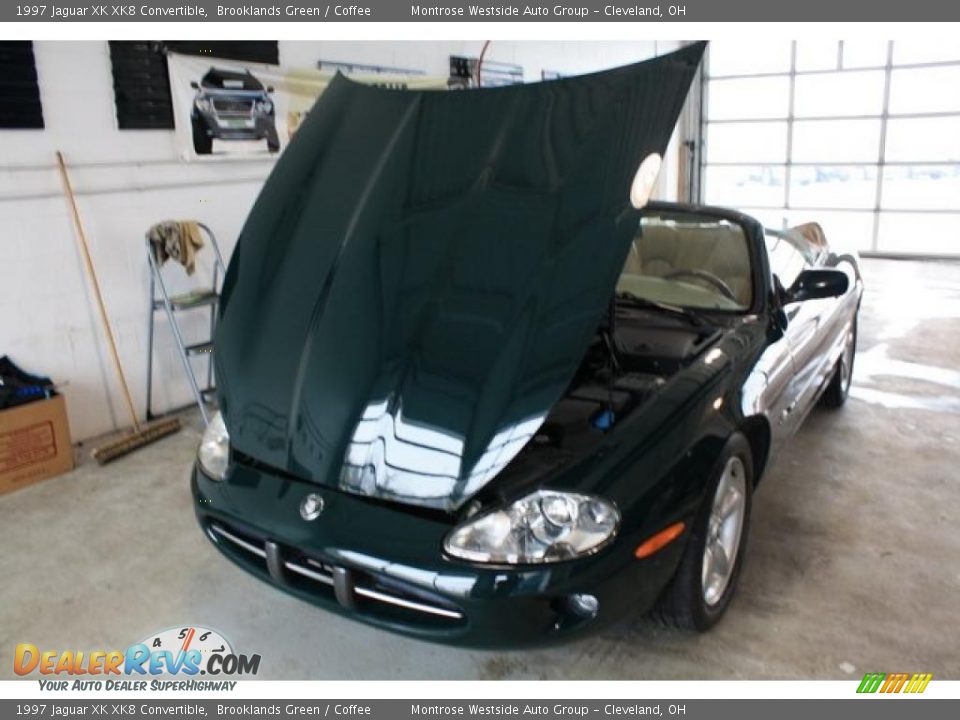 1997 Jaguar XK XK8 Convertible Brooklands Green / Coffee Photo #35