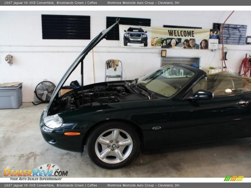 1997 Jaguar XK XK8 Convertible Brooklands Green / Coffee Photo #36