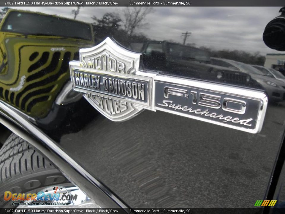 2002 Ford F150 Harley-Davidson SuperCrew Logo Photo #3