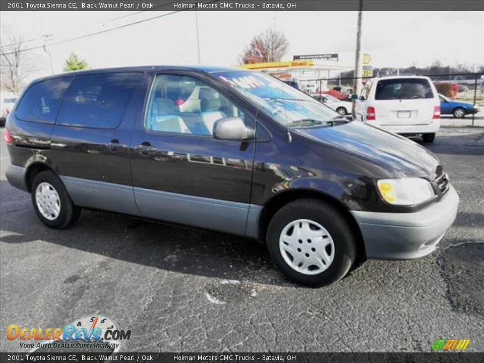 2001 Toyota Sienna CE Black Walnut Pearl / Oak Photo #1