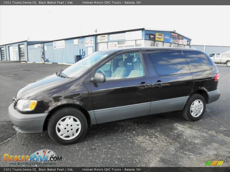 2001 Toyota Sienna CE Black Walnut Pearl / Oak Photo #4