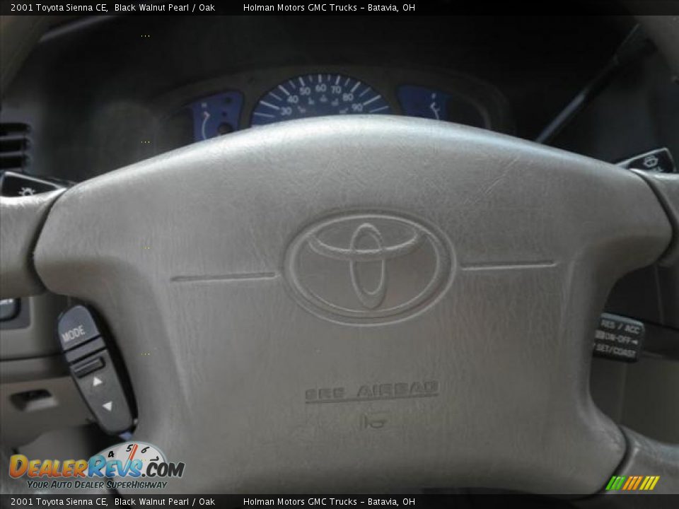 2001 Toyota Sienna CE Black Walnut Pearl / Oak Photo #8