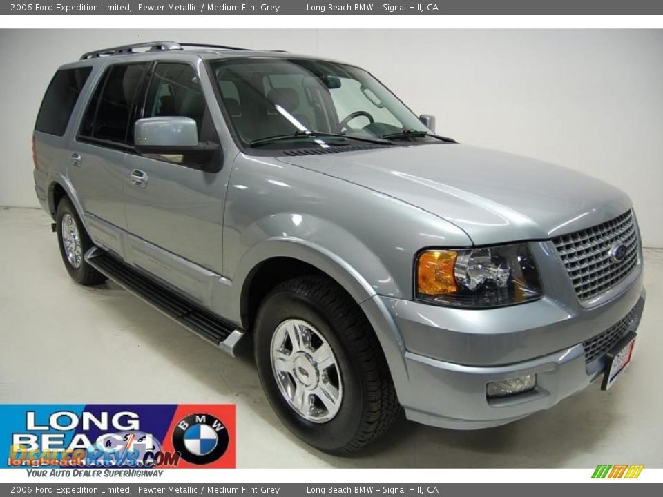 2006 Ford Expedition Limited Pewter Metallic / Medium Flint Grey Photo #1