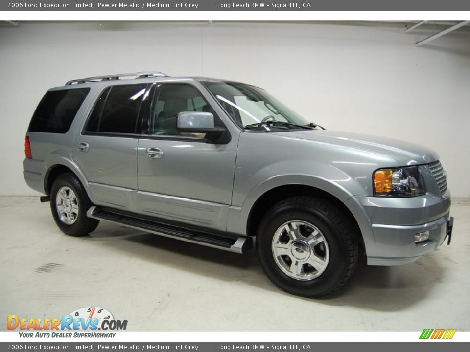 2006 Ford Expedition Limited Pewter Metallic / Medium Flint Grey Photo #2