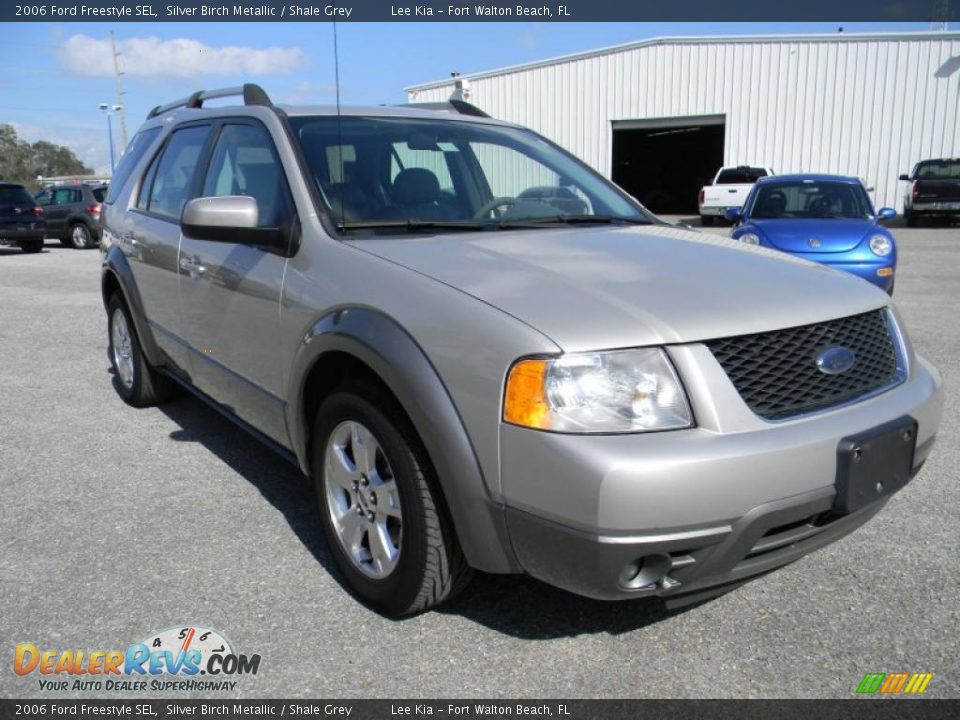 Silver Birch Metallic 2006 Ford Freestyle SEL Photo #7