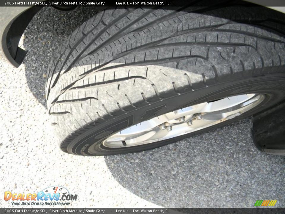 2006 Ford Freestyle SEL Silver Birch Metallic / Shale Grey Photo #10