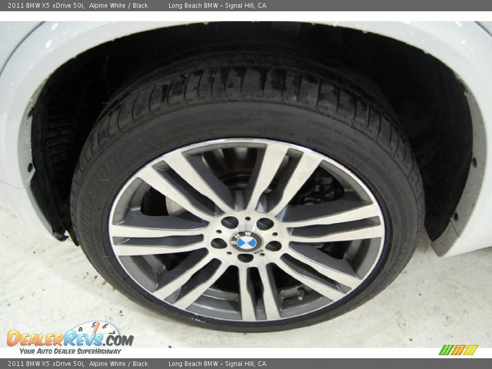 2011 BMW X5 xDrive 50i Wheel Photo #13