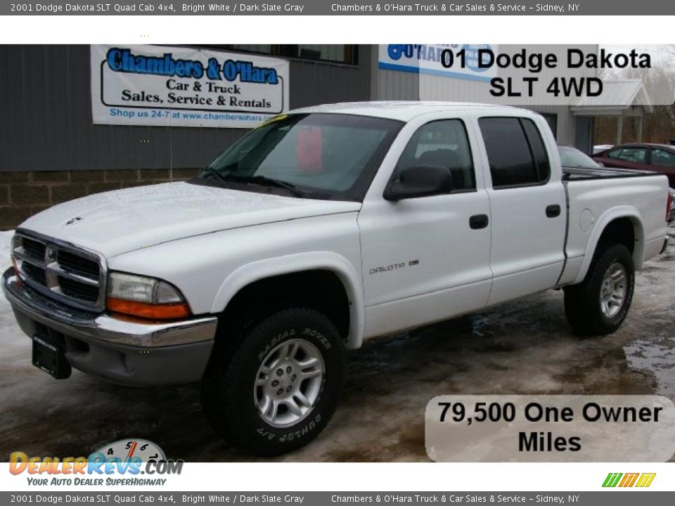 2001 Dodge Dakota SLT Quad Cab 4x4 Bright White / Dark Slate Gray Photo #1