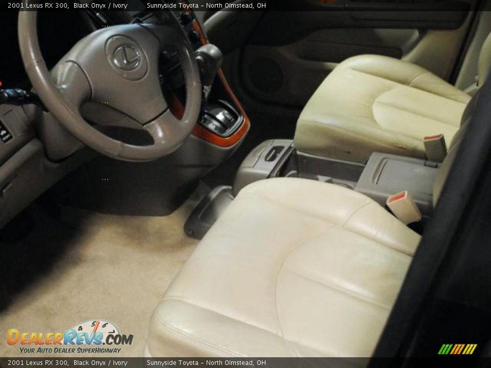 2001 Lexus RX 300 Black Onyx / Ivory Photo #9