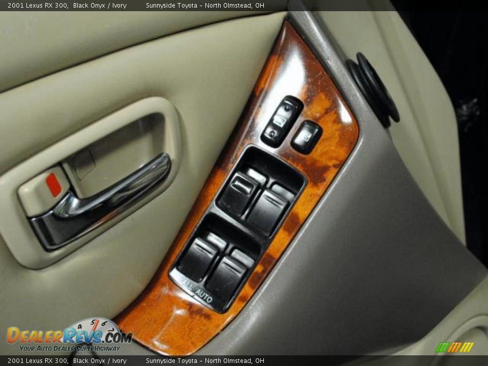 2001 Lexus RX 300 Black Onyx / Ivory Photo #17
