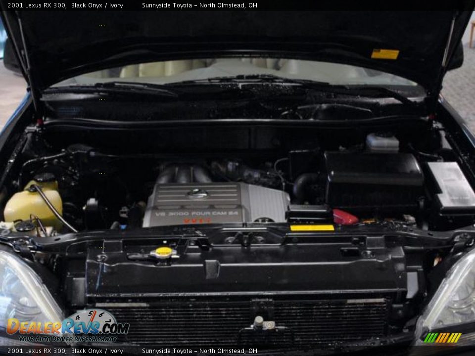 2001 Lexus RX 300 Black Onyx / Ivory Photo #18