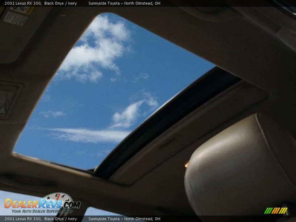 2001 Lexus RX 300 Black Onyx / Ivory Photo #19