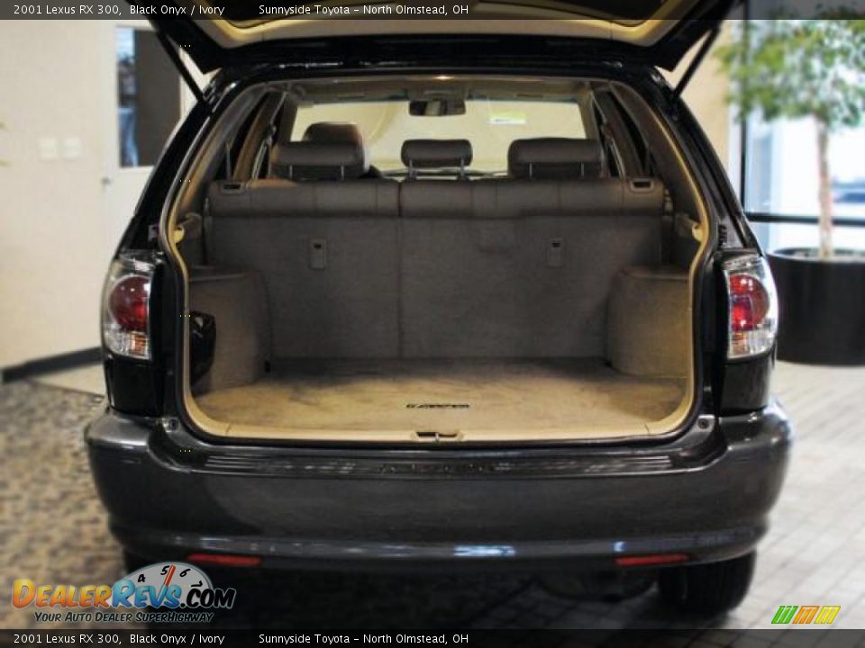 2001 Lexus RX 300 Black Onyx / Ivory Photo #20