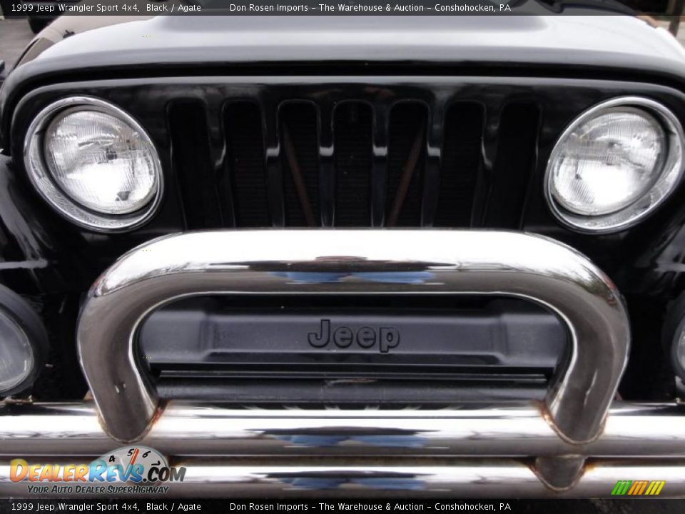 1999 Jeep Wrangler Sport 4x4 Black / Agate Photo #31