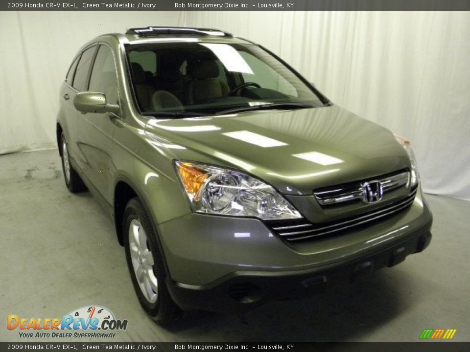 Front 3/4 View of 2009 Honda CR-V EX-L Photo #1