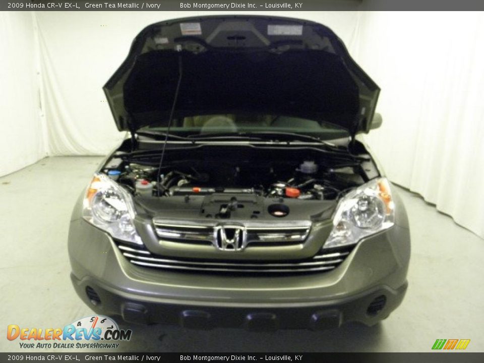 2009 Honda CR-V EX-L Green Tea Metallic / Ivory Photo #4