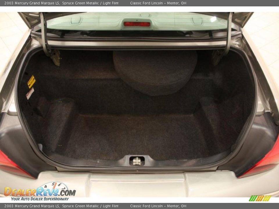 2003 Mercury Grand Marquis LS Spruce Green Metallic / Light Flint Photo #15