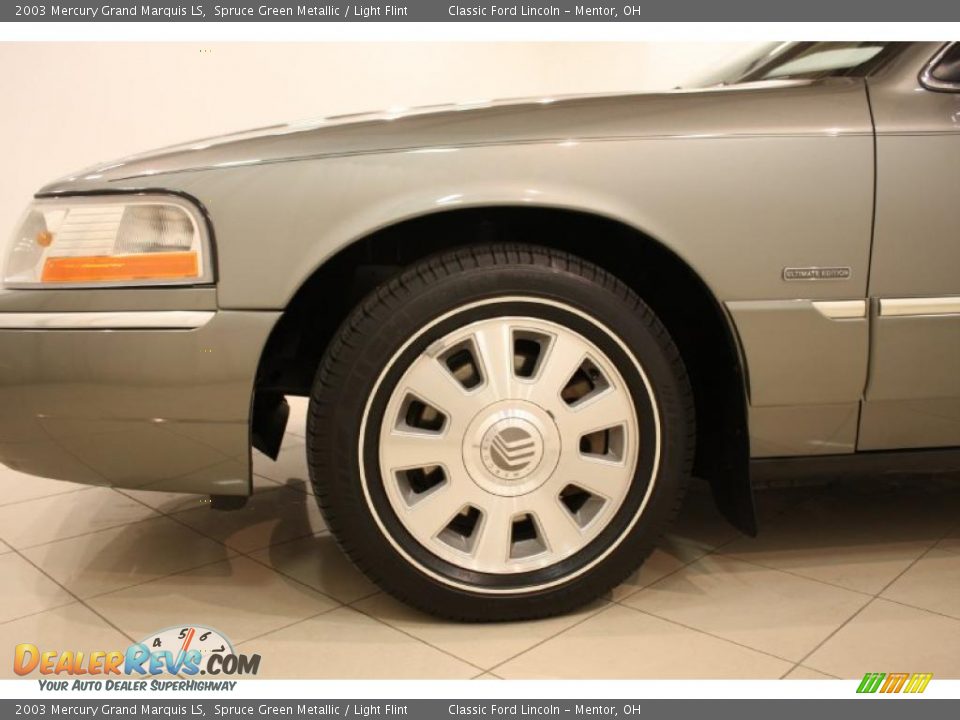 2003 Mercury Grand Marquis LS Spruce Green Metallic / Light Flint Photo #17