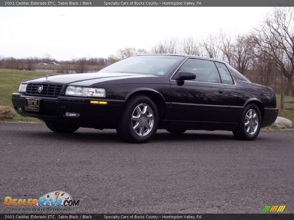 2001 Cadillac Eldorado ETC Sable Black / Black Photo #2