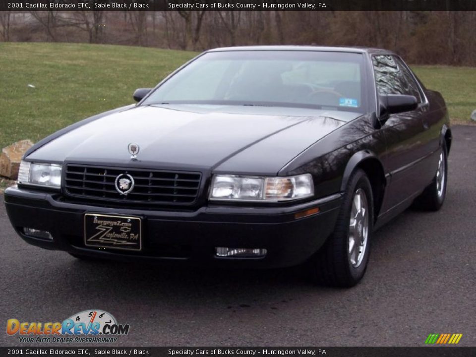 2001 Cadillac Eldorado ETC Sable Black / Black Photo #4