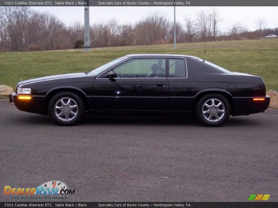 2001 Cadillac Eldorado ETC Sable Black / Black Photo #5